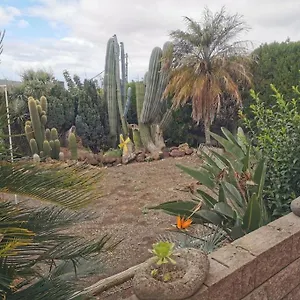https://los-cactus-santa-cruz-de-tenerife.in-canary-islands.com